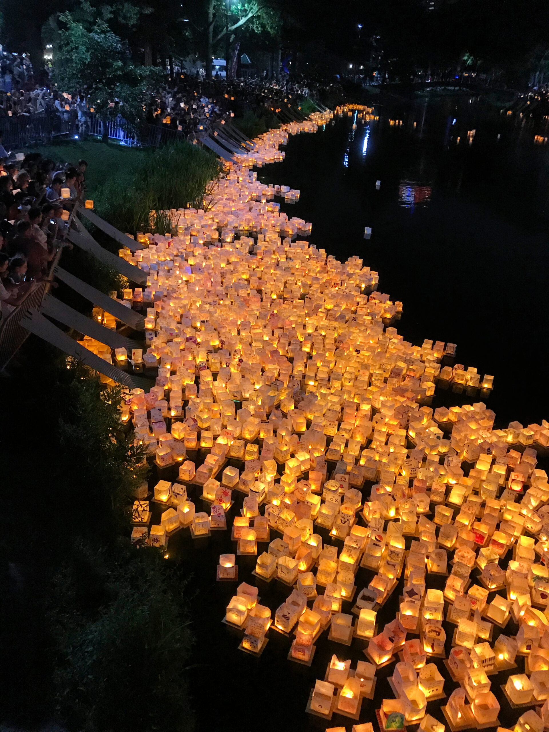 The Wonder of the Water Lantern Festival In The Olive Groves