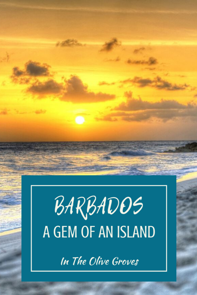 Barbados, The Jewel Of The Caribbean - In The Olive Groves