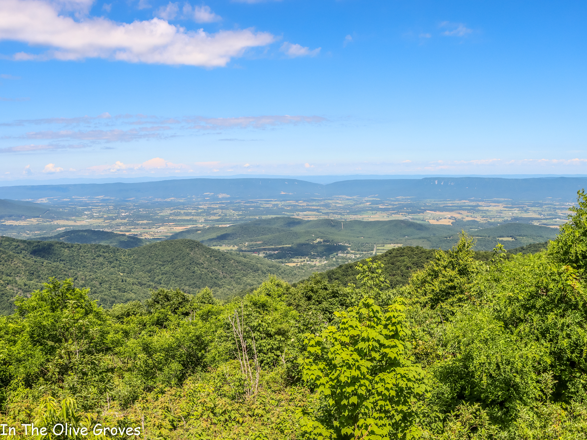 Read more about the article Chasing the Views in Shenandoah National Park