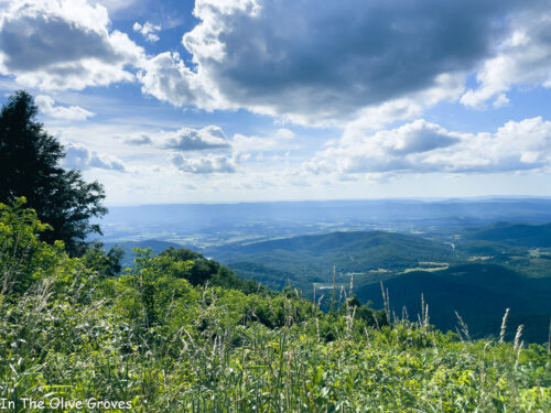 Chasing the Views in Shenandoah National Park | In The Olive Groves